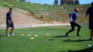 GOALKEEPER TRAINING HIGH BALL AND LOW DIVE [upl. by Trescha]