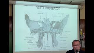Base de cráneo pt 35 [upl. by Selrahcnhoj]