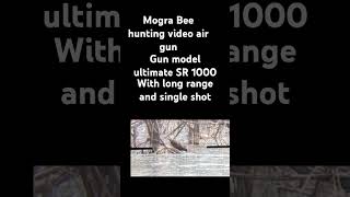 Hunting video air gun SR 1000 [upl. by Yriek]