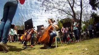 Flash Mob Curtin University amp Perth Symphony Orchestra [upl. by Katsuyama]