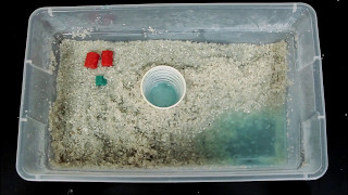 Shoebox Groundwater Model [upl. by Ybbed180]