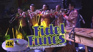 Fidel Funes y su Marimba Orquesta  36 Años 4K [upl. by Rashida]