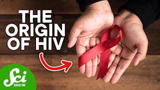 How HIV First Started in Humans [upl. by Esaj623]