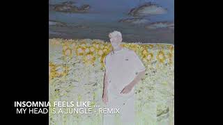 My head is a jungle REMIX by Insomnia Feels Like [upl. by Llieno826]