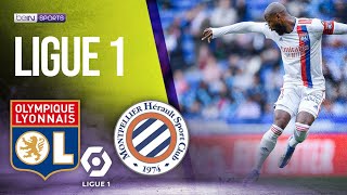 Lyon vs Montpellier  LIGUE 1 HIGHLIGHTS  04232022  beIN SPORTS USA [upl. by Holtorf666]