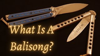 What Is a Balisong What You NEED to Know [upl. by Adnohser88]