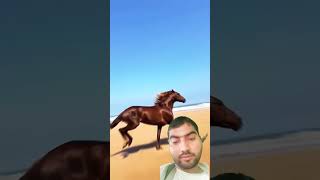 horseriding cowgirl horselover horse fact youtubeshorts shortvideo trending [upl. by Nnybor]