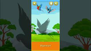 Birds Name with Sound  A to Z Birds Name  Birds  Pre School  Birds Song  Cute Birds birds [upl. by Neroc]