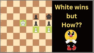 CRITICAL Chess Endgame Lesson For beginners and intermediate [upl. by Atteragram]