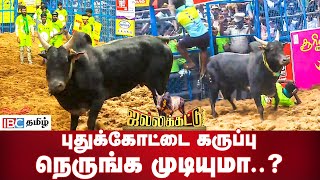 புதுக்கோட்டை கருப்பு நெருங்க முடியுமா  Pudhukottai Karuppu  Palamedu Jallikattu  IBC Tamil [upl. by Tsirc]