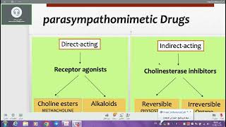 lab 5 فارما عملي دهاشم Effect of Parasympathomimetic Drugs on Glandular Secretions in Rats [upl. by Imojean]