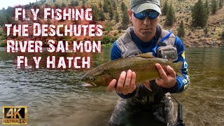 Deschutes River Salmon Fly Hatch Fly Fishing My LARGEST Wild Rainbow Trout Of The Season [upl. by Ramin406]