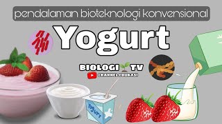 bioteknologi konvensional  dibalik pembuatan yogurt  biologi sma kelas 12 bab bioteknologi [upl. by Gilleod]