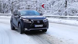 Lexus NX 300h AWD F SPORT  Test Drive [upl. by Ysor602]