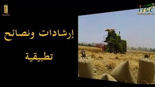 قناة quot السنبلةquot عملية الحصاد والدرس ـ نصائح وإرشادات تطبيقية  ITGC Oued Smar [upl. by Tevlev869]