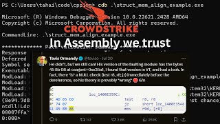 Master Your Craft  Tavis Ormandy Analysis on The CrowdStrike Incident [upl. by Htebilil]