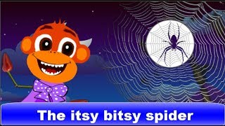 Itsy Bitsy Spider  Movie with Monkey Lyrics and karaoke [upl. by Neddy]