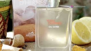 Top Fragrance Expert Reveals Truth About Hermes Terre dHermes Eau Givree [upl. by Barboza]