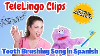 Brush Your Teeth with Lily  Tooth Brushing Song in Spanish  TeleLingo Clips [upl. by Calli966]