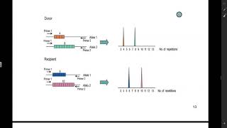 STR Analysis [upl. by Renckens22]