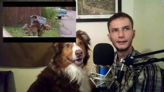 A dogs purpose trailer reaction [upl. by Pandich538]