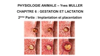 Chapitre 62 Implantation et placentation [upl. by Elbring501]