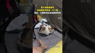 男子夜晚露營時，帳篷里突然闖進一只小貓，網友：小貓咪向你發出露營申請。 [upl. by Palla]