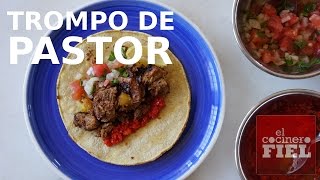 TROMPO DE PASTOR [upl. by Boylston553]