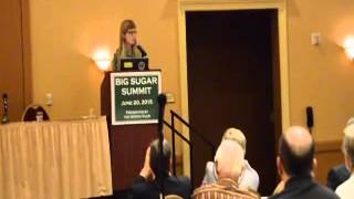 Big Sugar Summit Dr Gail Hollander [upl. by Nylinnej]