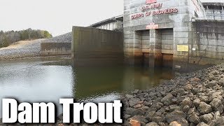 Trout Fishing at J Percy Priest Dam  Winter Trout Fishing Part 2 [upl. by Bianka]