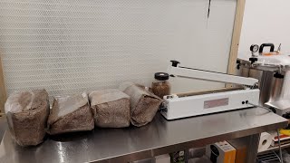 How to inoculate and seal a 5lb sawdust blockspawn bag for home mushroom cultivation [upl. by Tonjes]