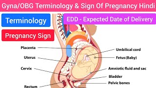 Terminology of Gynaecology amp Obstetrics in Hindi Basics of Pregnancy Sign Of Obstetrics in Hindi [upl. by Eireva]