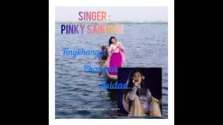 Palemgi Naoshum esei nungcba lyrics video Manipuri folk song by Pinky Saikhom [upl. by Niryt246]