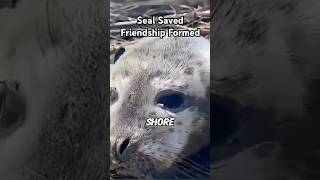 Seal’s Grateful Encounter From Rescue to Friendship  Humans and Animals [upl. by Almena]