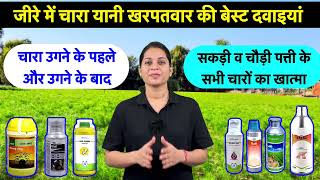 जीरे के लिए बेस्ट खरपतवार नाशक दवा  Jira me kharpatwar nashak dawa  Oxyfluorfen 235 ec herbicide [upl. by Orimar]