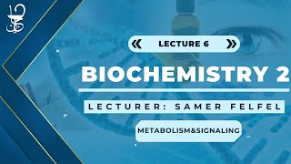 Biochemistry 2 Metabolism and Signaling [upl. by Muriel]