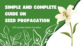 Simple and complete guide on seed propagation part 1 tipsandtricks new vlog flowers view [upl. by Meredeth]