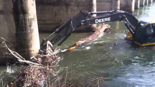 Clearing the French Broad  Norfolk Southern Railroad Feb 2014 [upl. by Ynttirb947]