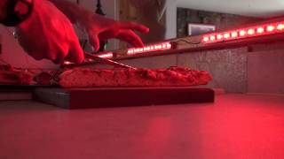 My Hattori HD Gyuto slicing up a pizza [upl. by Sontag335]