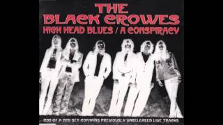 The Black Crowes Remedy Live [upl. by Kelwen283]