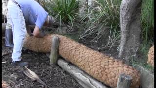 Installing Coir Log Walls to Control Bank Erosion [upl. by Edik415]