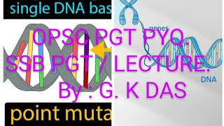 Point mutation  Gene mutation  SSB PGT BIOLOGY  SSB PGT ZOOLOGY QUESTION [upl. by Draude764]