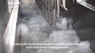 Effortless Precision Automatic Water Replenishment for Optimal Poultry Scalding [upl. by Akiemahs]