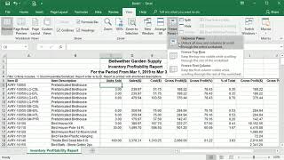 Using Freeze Panes to Keep RowColumn Headings Visible in Excel [upl. by Sauls]