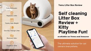 Temu SelfCleaning Cat Litter Box Review  Bonus Kitty Playtime Fun [upl. by Nosaes202]