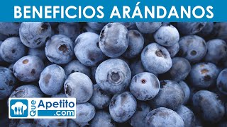 8 Propiedades y Beneficios de los Arándanos  QueApetito [upl. by Eahc]