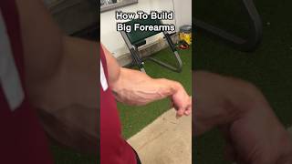 How to Build Bigger Forearms Like Sam Sulek  Forearm Workout for Massive Gains 💪 [upl. by Lower734]