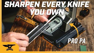 Sharpen Every Knife You Own on the Professional Precision Adjust Knife Sharpener [upl. by Mandych427]