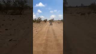 ParisDakar Rally 😉 foryou travel shorts prank [upl. by Elvina]