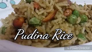 Pudina rice in tamil  புதினா சாதம்  Mint rice in tamil [upl. by Brouwer]